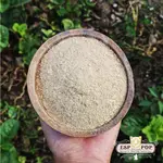 ESPPOP-卡瓦胡椒KAVA KAVA 斐濟 VULA WAKA 1OZ｜當地小農直接採購