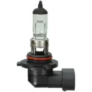 Wagner BP9055 Wagner Lighting Bp9055 Standard Multi Purpose Light Bulb Card Of 1