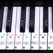Musical Notes Piano Sticker For 37/49/88/61/54 Keys Label Decal Kid Learn Teach