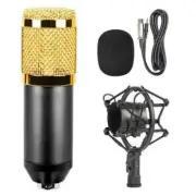 Studio Condenser Microphone Set Stand Shock Mount Pop Filter 3.5mm XLR Cable