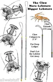 LOBSTER CLAW 6' Extendable TICKLE STICK catch snare Dr deep reef Green Season FL