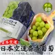 【WANG 蔬果】日本麝香無籽葡萄1房x4盒(450-500g/串_禮盒/空運直送)