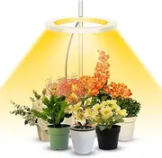 Grow Lights for Indoor Plants,Full Spectrum LED Plant Halo Lights Height Adjustable Growing Lamps with Auto On/Off Timer 8/12/16 H, 4 Dimmable Brightness,Ideal for Small House Plants Indoors Live