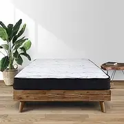 [Giselle Bedding] Single Mattress Bed Mattresses Bonnell Foam 16cm Thickness, with 6-Coil Spring System and Breathable Euro Top, 5Yrs Warranty, Medium Firm, White with Vacuum Packed