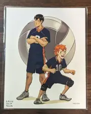 BAM! Anime Box - Haikyuu!! - Art Print /2500 Signed Artist Kelsi Silva