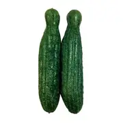 Fauna Veggie Patch Edible Cucumber Nibblers