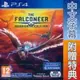 PS4 空戰獵鷹：戰士版 中英文歐版 The Falconeer: Warrior 支援免費升級PS5【一起玩】