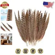Unique 20-pack Natural Pheasant Feathers 12-14inch for Home Decor & Celebrations