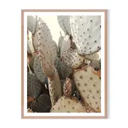 Full Cactus Framed Printed Wall Art - Timber