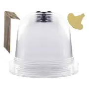 Garden Plant Cloche, 6 Pieces Plastic Plant Bell, Propagation Bells,4245
