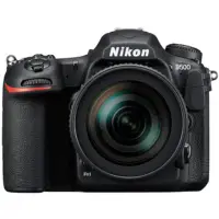 在飛比找蝦皮購物優惠-需付8000訂金代購 尼康 nikon D500 單機身 /