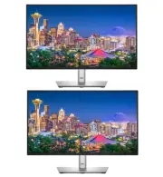 Dell P2225H 22-inch 1080P Full HD Wide Angle LED LCD Monitor, 2-Pack Bundle