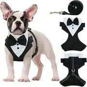 Tuxedo Dog Harness, Dog Vest with No Pull Dog Leash, Formal Puppy Harness with Bow Tie for Wedding, Breathable Mesh Dog Tuxedo Vest Harness, Pet Harness for Small Medium Dogs, Birthday Walking (S)