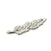 Western Australia Silver Wattle Leaf