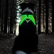 [TRIPOLACO] Light Up Dog Harness, High Visibility Led Dog Harness for Night Safety, USB Rechargeable Glowing Dog Harness for Night Walking, Flashing Dog Harness for Small Medium Large Dogs (Green, L)