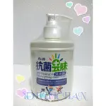 白雪抗菌去味洗手乳250ML，1000ML台灣製造