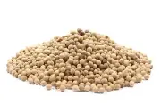 White Peppercorns Whole - 1 Pound - Bulk Food Service Imported Whole Peppercorns