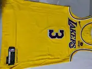 Nike Authentic Anthony Davis 2023/24 Icon Jersey W/Bibigo Patch - 44 (Medium)