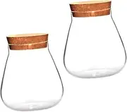 IWOWHERO 2Pcs Clear Decorative Micro Landscape Jars with Cork Lid Succulent Display Containers for Home Windowsill Garden Use