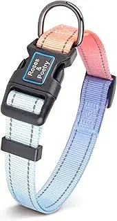 Roses&Poetry Reflective Dog Collar with Gradient Azure, Adjustable Durable Pet Collars for Small Medium Large Dogs （Azure-XS