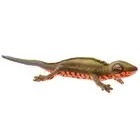 BH8141 HANSA Red-bellied newt 23