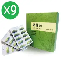 在飛比找森森購物網優惠-【太極石】穿蒲魚複方精萃 9入組 共270粒 30粒/盒 (