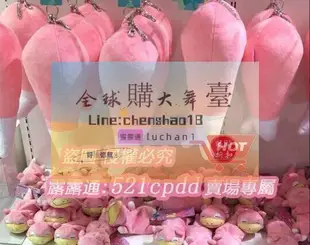 ✨大號掛件 尾巴 呆呆獸 pc中心 精靈寶可夢 毛絨公仔娃娃 神奇寶