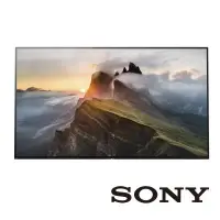 在飛比找Yahoo!奇摩拍賣優惠-來電享便宜【SONY 新力】 55吋 4K HDR 液晶電視