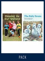 Flying Start Guided Reading Level 18, Pack 3