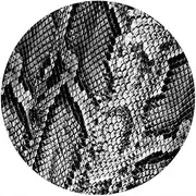 Slipmat Slip Mat Scratch Pad Felt for Any 12" LP DJ Vinyl Turntable Record Player Custom Graphical - Snake Skin BW
