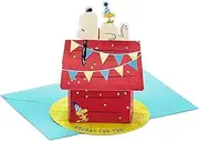 Hallmark Paper Wonder Peanuts Pop Up Birthday Card (Snoopy Dog House)