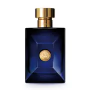 Versace Pour Homme Dylan Blue By Versace 100ml Edts Mens Fragrance