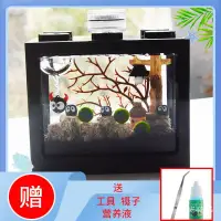 在飛比找蝦皮購物優惠-🔥臺灣熱賣免運🔥海藻球生態缸DIY微景觀生態瓶水培球藻創意迷