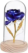 OSOLADY Eternal Flower Glass Dome LED Lights Preserved Rose Decoration Present for Couples Valentine Day Home Office Decor Battery Not Included