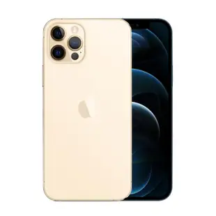 【Apple】A級福利品 iPhone 12 Pro Max 256G 6.7吋(贈 傳輸線 / 厚膠玻璃貼 / 軍規空壓殼)