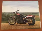 2005 Harley-Davidson FXSTS Springer Softail Motorcycle Brochure