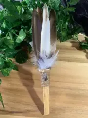 Palo Santo Smudge Feather wand Pagan, Gaia smudging Witch Reiki energy healing