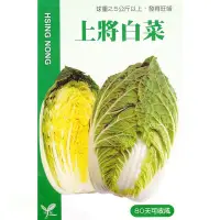 在飛比找Yahoo!奇摩拍賣優惠-種子王國 上將白菜 黃金大白菜 結球白菜【蔬果種子】栽培容易