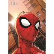 Spiderman Loot Bags 8 Pack Birthday Party Supplies Webbed Wonder Boy Plastic
