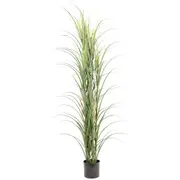 Lush Green Artificial Long Grass – 180cm, UV Protected