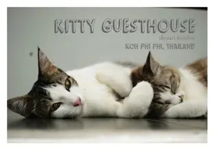 吉蒂民宿Kitty Guesthouse