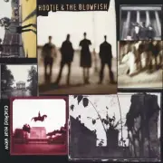 Hootie & The Blowfish - Cracked Rear View [Brick & Mortar Exclusive Clear Vinyl]