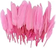 Binxind 50pcs Dyed Goose Feathers DIY Hairstyles Decor Jewelry Wedding Party - Pink