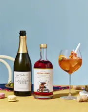 Aperitif Spritz - Italian Spritz + Dry Sparkling | Non-Alc | Sans Drinks