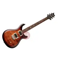 在飛比找蝦皮商城優惠-PRS / SE  Custom 24 35周年 限量電吉他