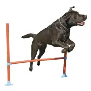 Rosewood 32-82cm Agility Hurdle Pet Dog Bar Training Jump/Fun Play Exercise Toy