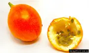 Buy Sweet Granadilla Passionfruit Vine Plats - Passiflora ligularis