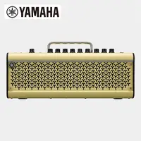 在飛比找蝦皮商城優惠-YAMAHA THR30II wireless 吉他音箱 無