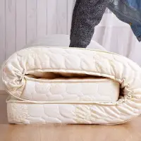 在飛比找蝦皮購物優惠-soft and healthy mattress pad 