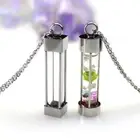 Perfume Vial Pendant Ashes Hair Flower Essential Oil Wishing Bottle Necklace